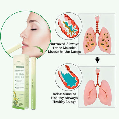🔥🔥Final 3 Hours: 70% OFF Mullein Relaxation Stick – Soothes Lungs, Detoxifies, Freshens Breath