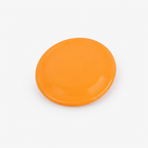 Pet Training Frisbee Toy – Lightweight Outdoor Flying Disc for Dogs 🐾