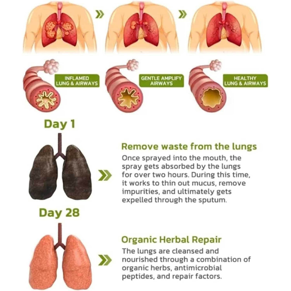 Seurico™ Lung Cleansing Spray
