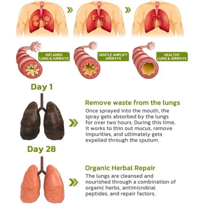 Seurico™ Lung Cleansing Spray