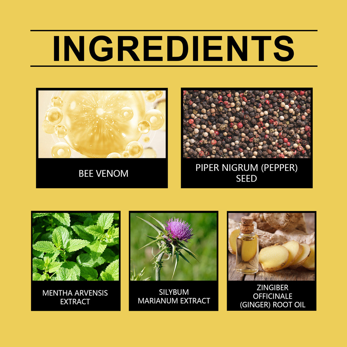 🐝Seurico™ Bee Venom Lymphatic Drainage Slimming Patch