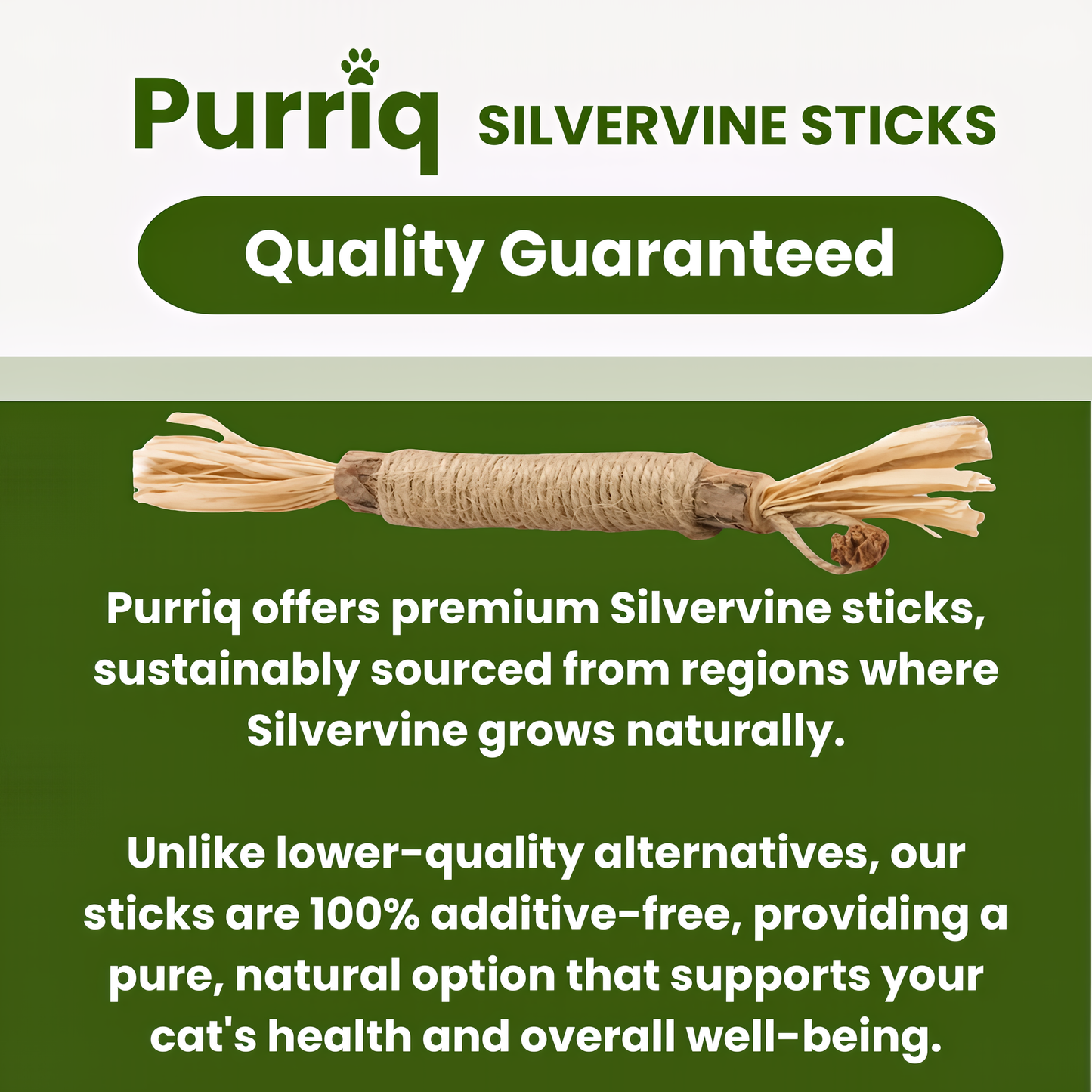 Natural Silvervine Dental Sticks