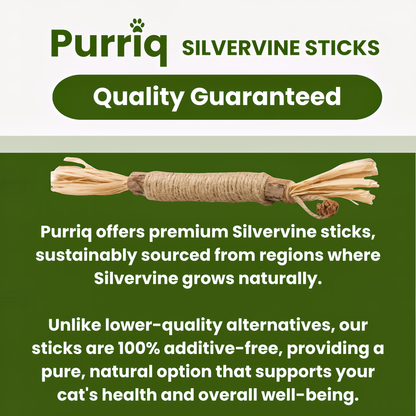 Natural Silvervine Dental Sticks