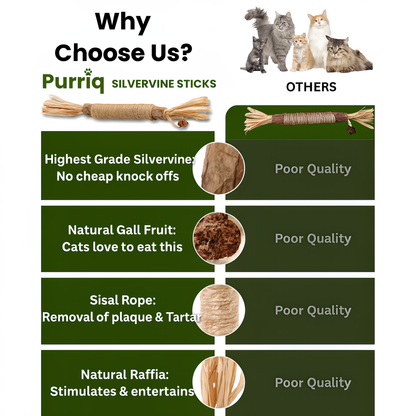 Natural Silvervine Dental Sticks