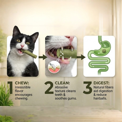 Cats’ Favorite Grass Teething Stick