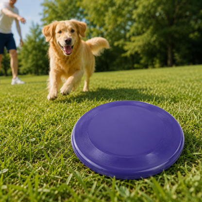 Pet Training Frisbee Toy – Lightweight Outdoor Flying Disc for Dogs 🐾