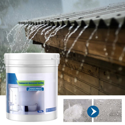 Seurico™ Transparent waterproof coating (🔥buy more get more free)
