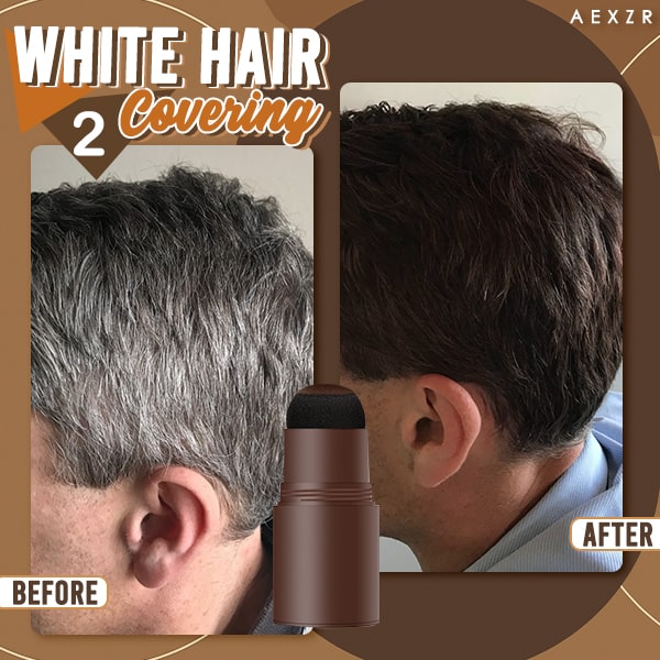 Seurico™ 3-in-1 Hairline Concealing Powder Stamp