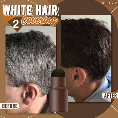 Seurico™ 3-in-1 Hairline Concealing Powder Stamp